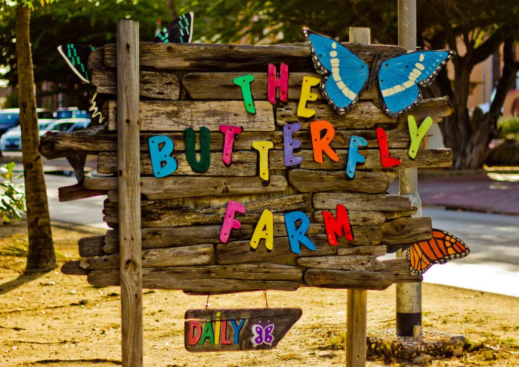 The Butterfly Farm flies into its 20th year in Aruba – Aruba Today