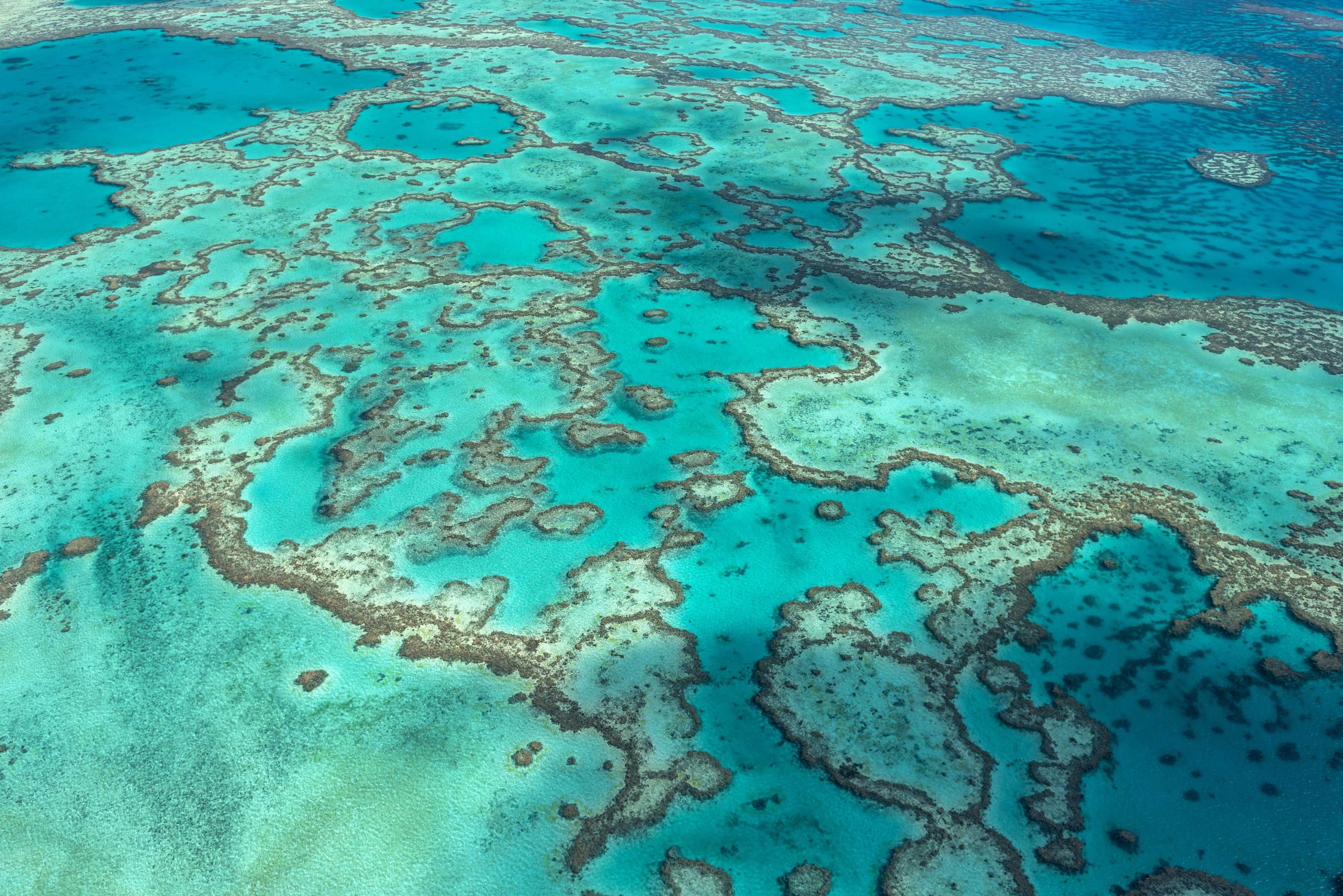 Australia avoids UNESCO downgrade of Great Barrier Reef – Aruba Today